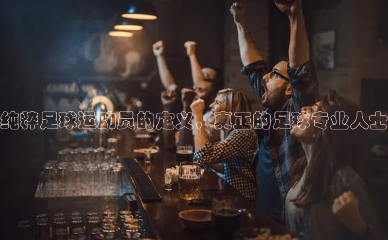 j9九游真人游戏第一品牌登录入口网易纯粹足球运动员的定义，真正的足球专业人士