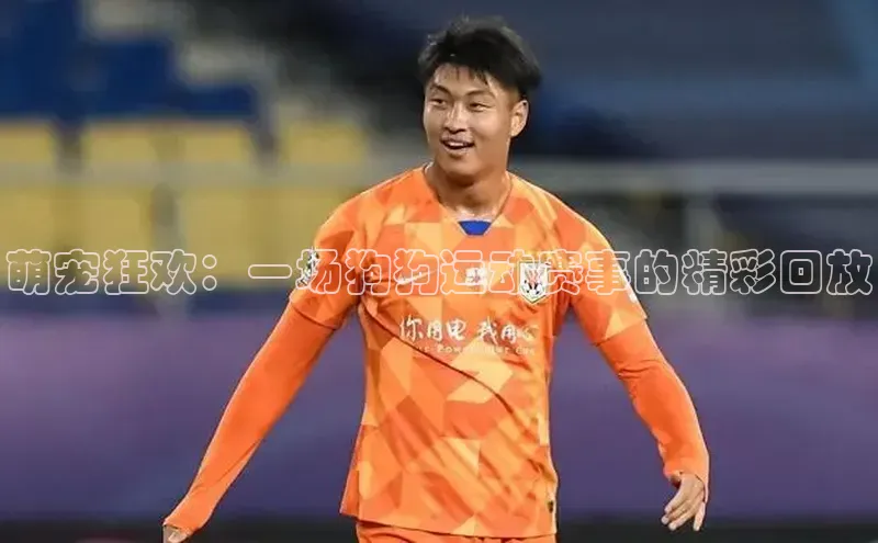 萌宠狂欢：一场狗狗运动赛事的精彩回放