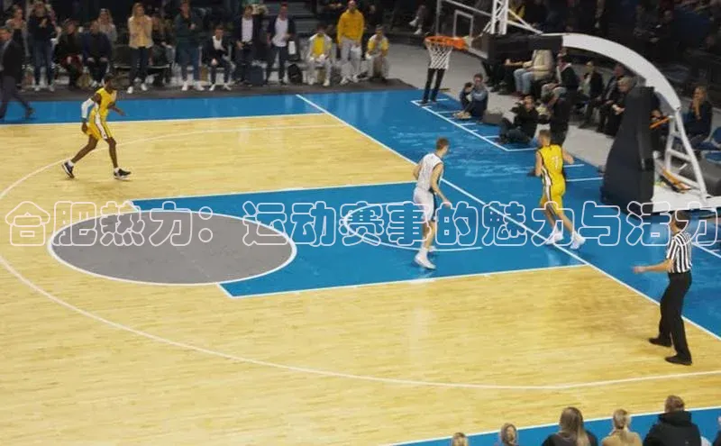 合肥热力：运动赛事的魅力与活力