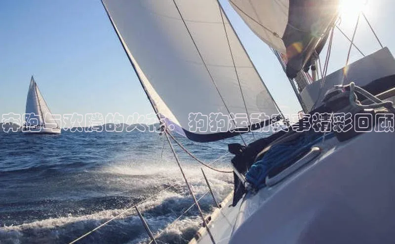 奔跑与欢腾的火花：狗狗运动赛事精彩回顾